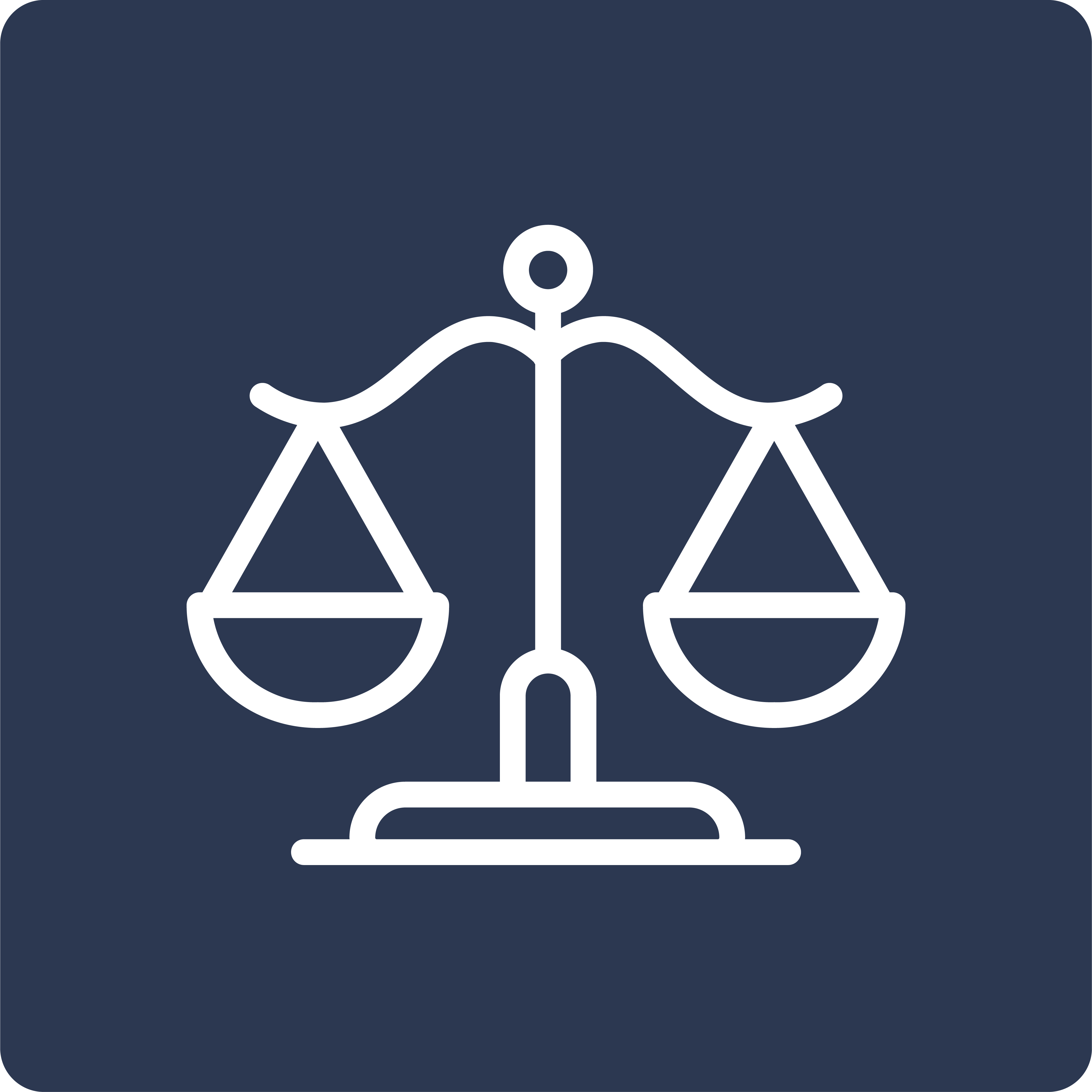 Legal Service